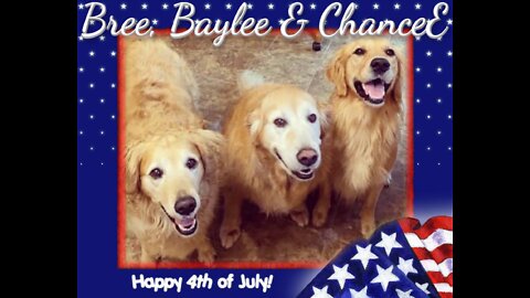 Golden Retrievers: Hearts of Gold - Independence Day 2022