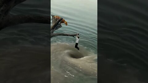 o que você faria se fosse voçe ?#shorts