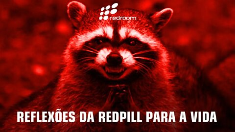 REFLEXÕES DA REDPILL PARA A VIDA (RACCOONING RACCOON)