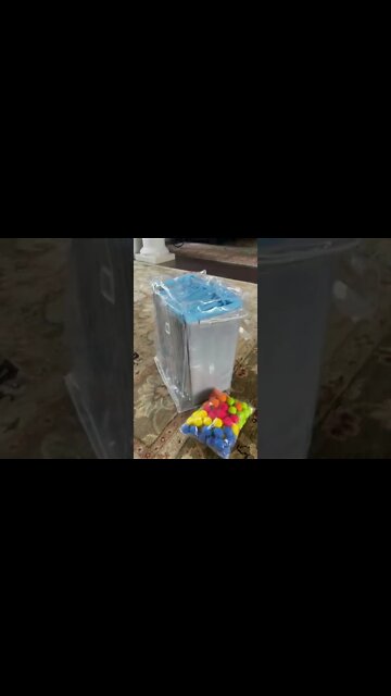 1Min Animal World #dogs #cats #pet