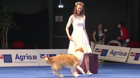 Dog Dancing World Championship 2022, Anastasiia Beaumont and border collie Yuki