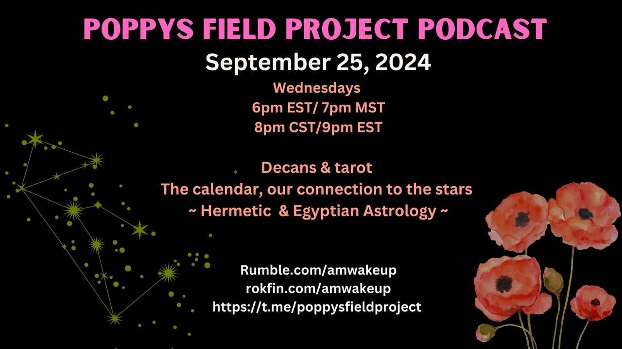 09/25/2024 Poppy's Field Project