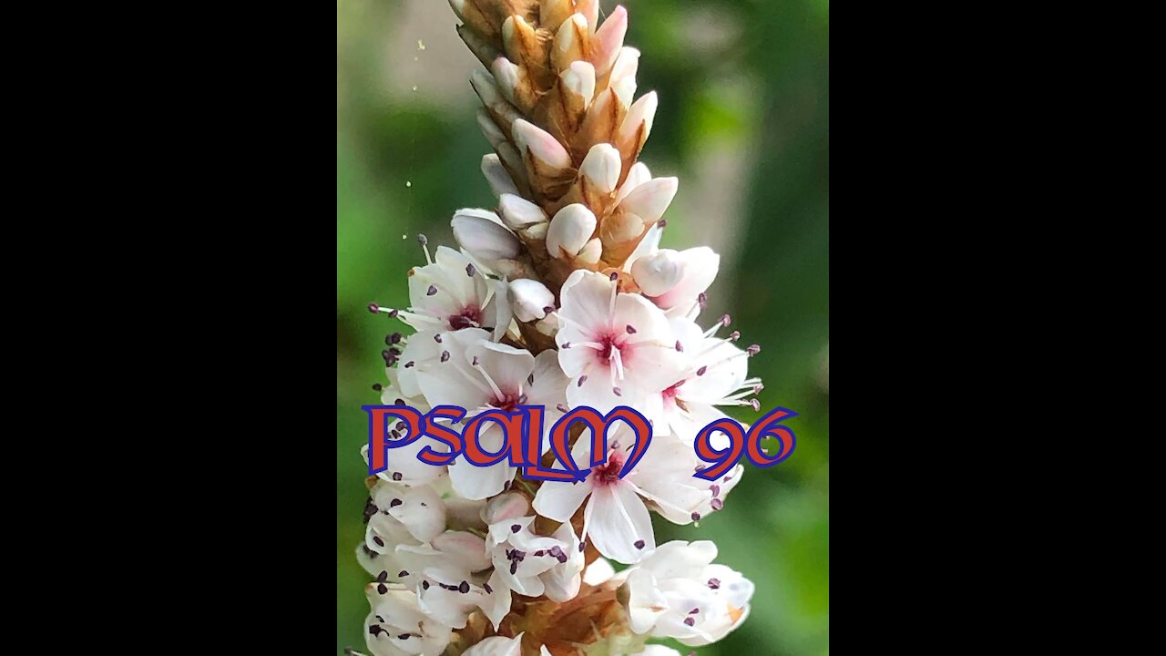 Psalm 96