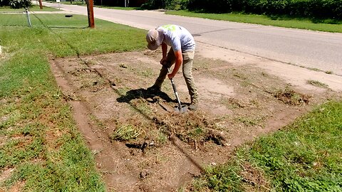 Man hasn't SEEN his yard look THIS good in 8 YEARS - I TRANSFORMED this Crazy Mess FOR FREE