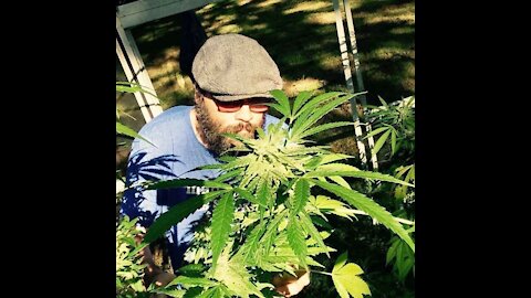Episode 207: An Extremely Painful Back Injury And 6 Surgeries Led To An Opioid Addiction.