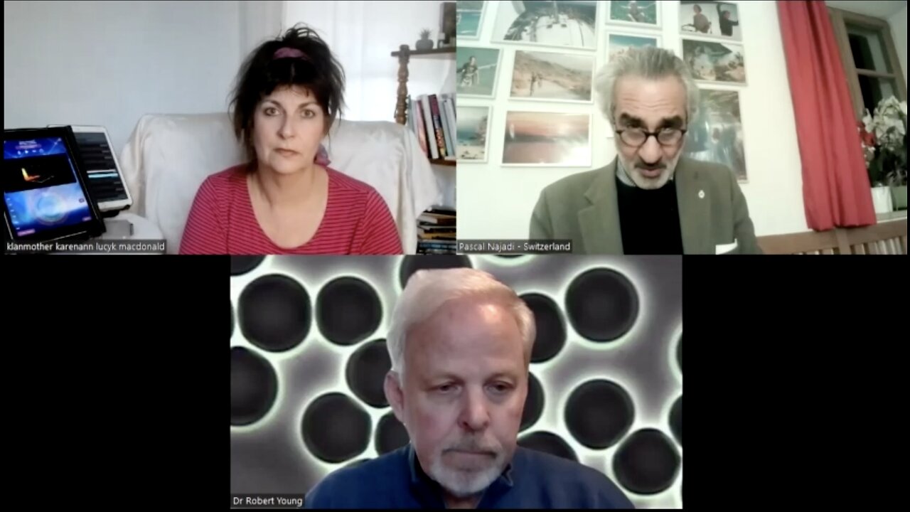 Pascal Najadi Dr. Robert Young & klanmother karenann - Pfizer Genocide