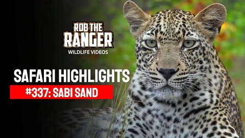 Safari Highlights #337: 14 - 21 April 2015 | Sabi Sand Nature Reserve | Latest Wildlife Sightings