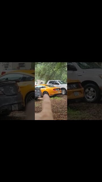 Gun Guys Cars @Hank Strange @Baby Face P @Safety Harbor Firearms @Shooting Gallery NE