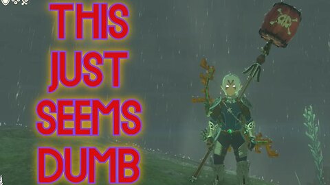 Zelda: TOTK Help Me Out??