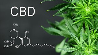 Wanna Buy Some CBD Products?