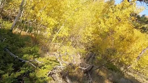 Dire Straits Of The Climate