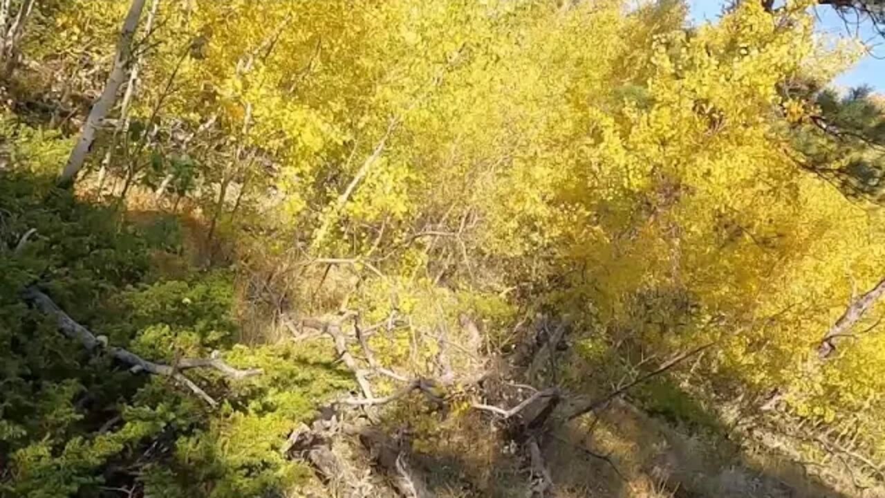 Dire Straits Of The Climate