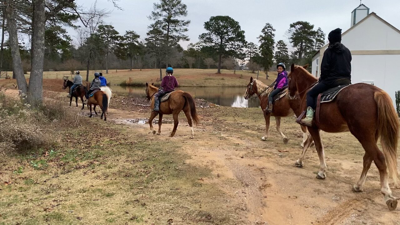 Tuesday Horse Therapy 12072021c