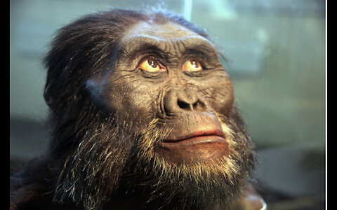 Sasquatch Photograph Captured Along Pond in Indiana