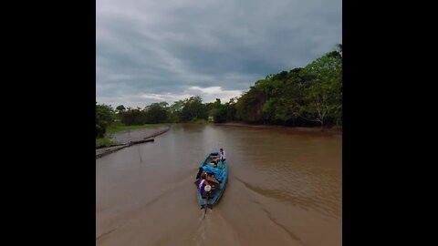 Nature Horizons - Amazon Rainforest # 6