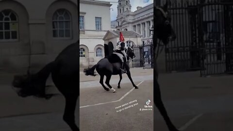 Horse panics refuses to go in standing area #horseguardsparade