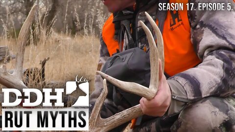 Rut Myths | Deer & Deer Hunting TV