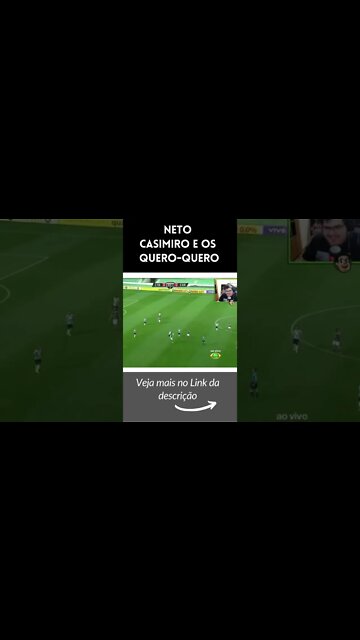Neto, Casimiro e os Quero-Quero #shorts