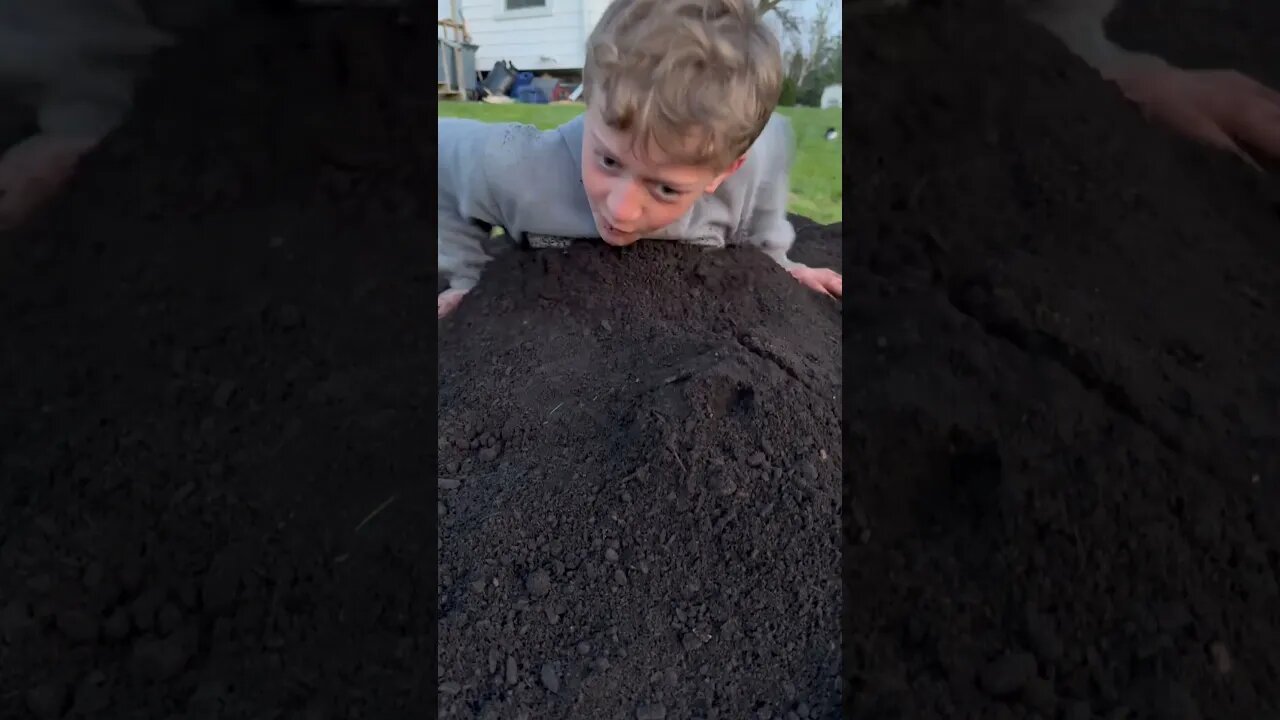 Compost Boy ￼ #giantpumpkin #bubba #gardening