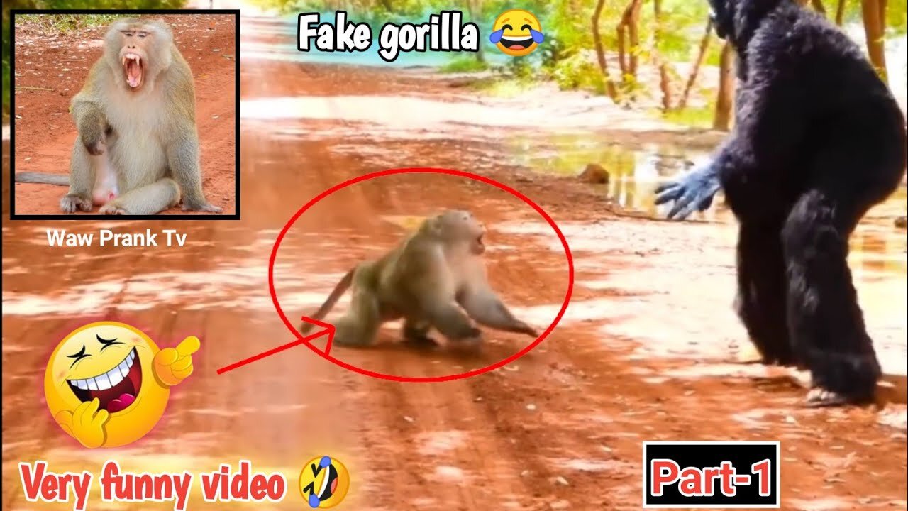 [ Best New Prank ] Fake Gorilla prank Dogs Make Funny Feeling Dogs - Super Funny