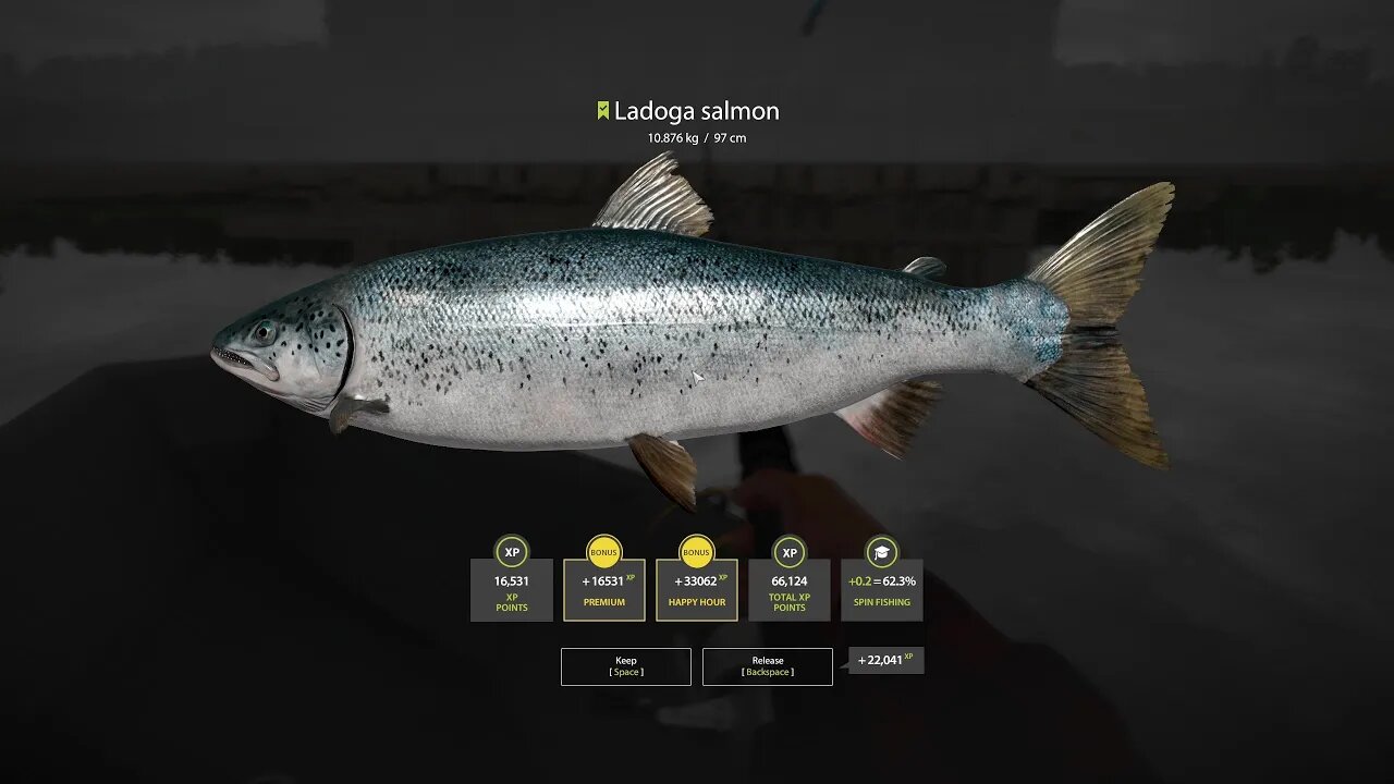 Russian Fishing 4 Volkhov River Ladogo Salmon 10 . 876 Kg