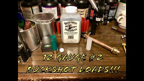 12 Gauge #2 Buckshot 24 Pellet Hunting Load 3”