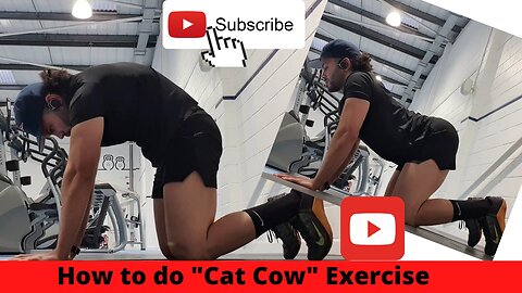 How to do Cat Cow exercise