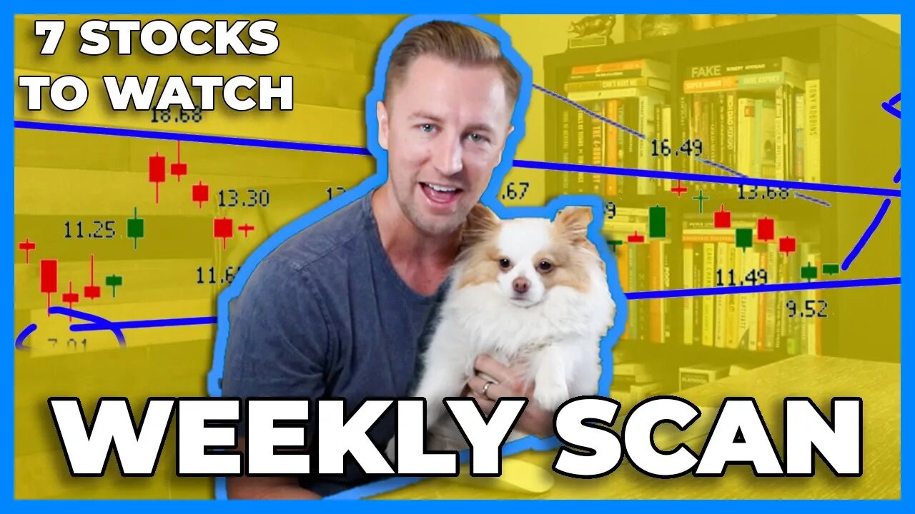 7 Stocks To Buy Now Or Stocks to Watch This Week (Based On Technical Analysis) | Weekly Scan EP 016