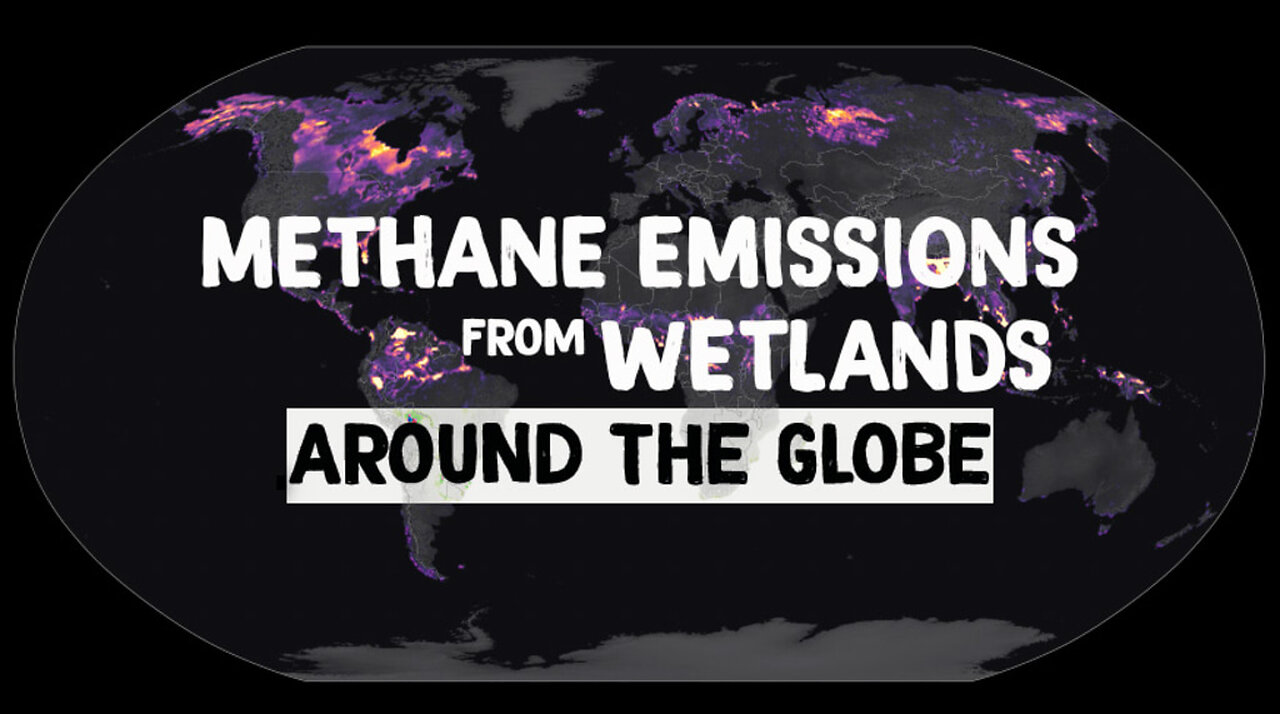 Methane Emissions from Wetlands