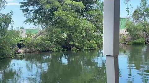 Independence Day on the canal