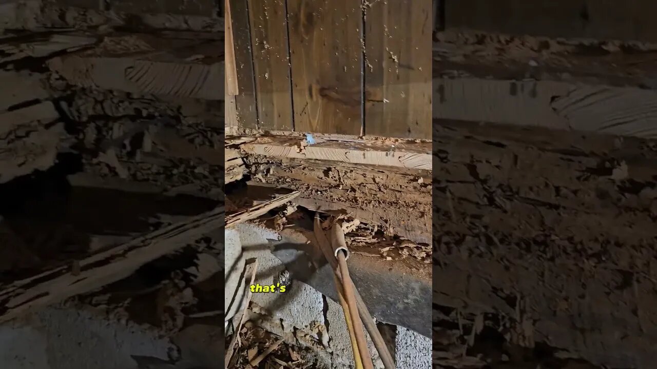 this is what moisture does to a house!! #construction #diy #lifehacks