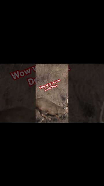 Huge heart shot on a Huge Buck #deerhunting #saddlehunting #hunters