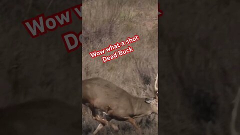 Huge heart shot on a Huge Buck #deerhunting #saddlehunting #hunters