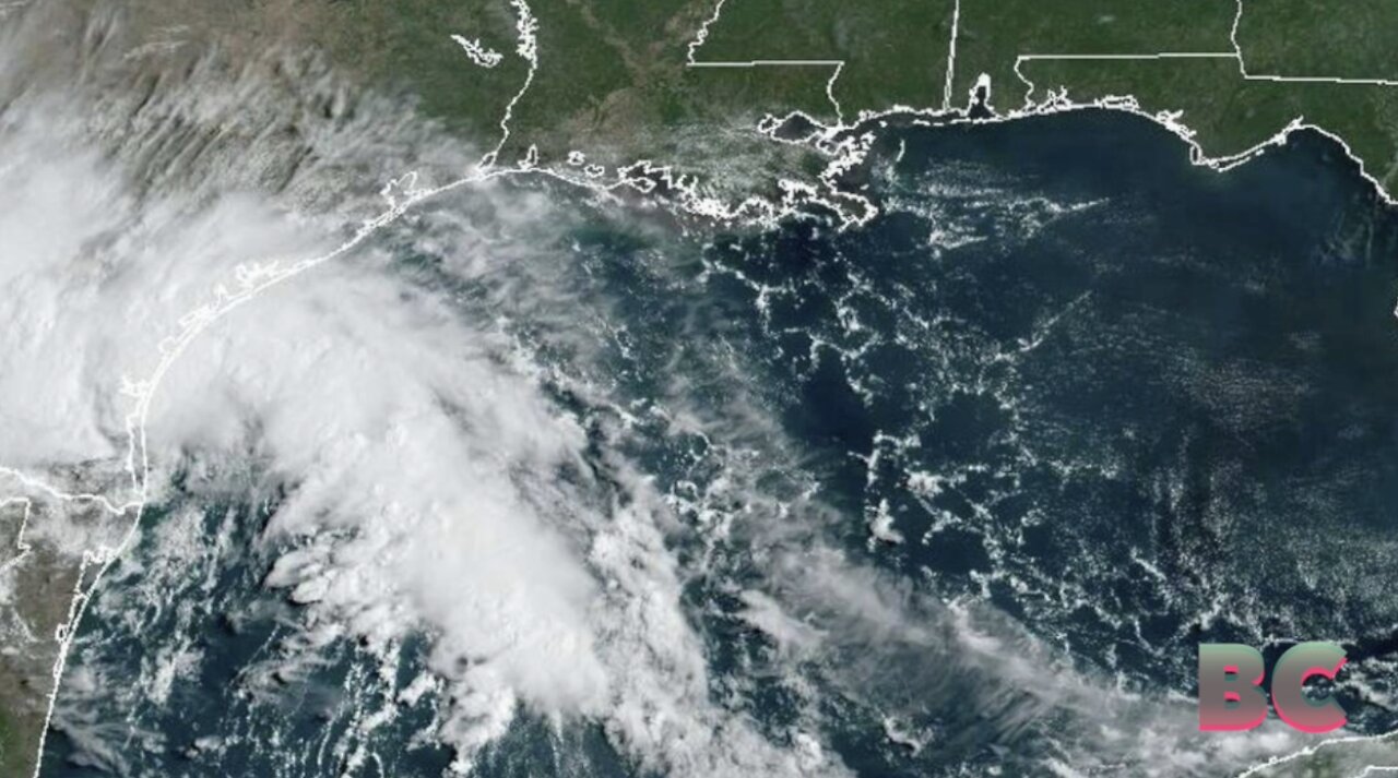 Tropical storm Harold makes landfall in TX