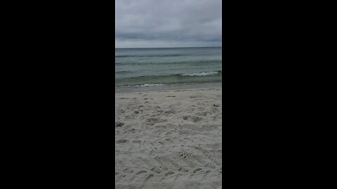 Panama City Florida 24