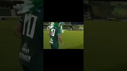 De cachorro a gambá tem de tudo no futebol brasileiro kkk