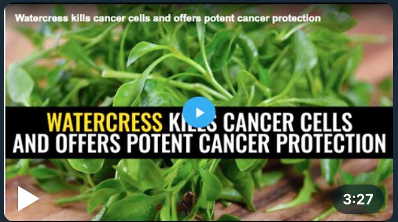 How watercress can protect you against cancer