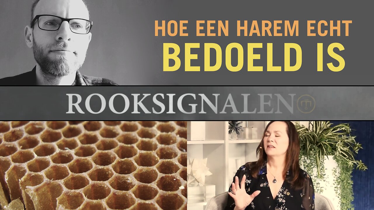 Hoe een harem echt bedoeld is | Rooksignalen #20