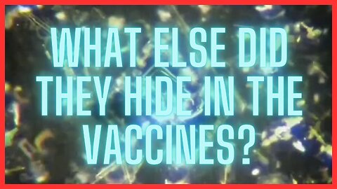 WHAT ELSE DID THEY HIDE IN THE VACCINES?