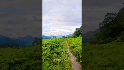 Fern Gully path on The West Highland Way Scotland #westhighlandway