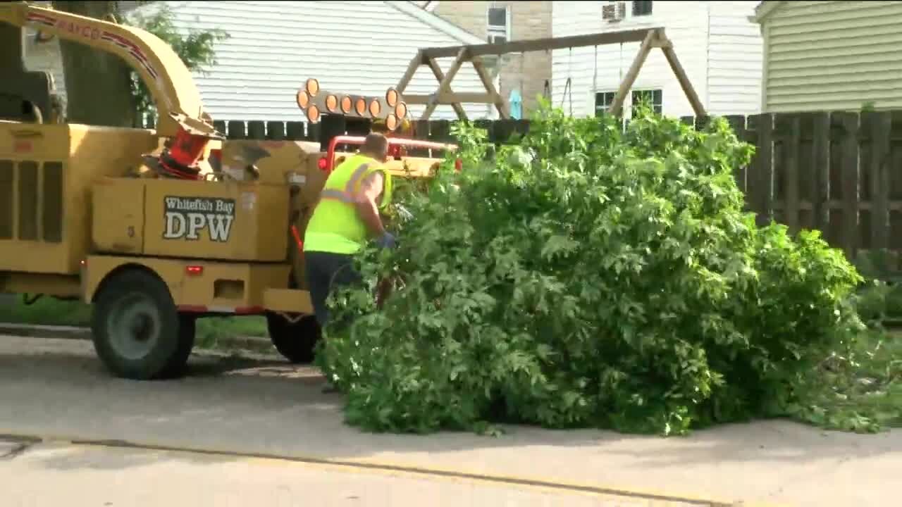 Storm cleanup continues three days after storm