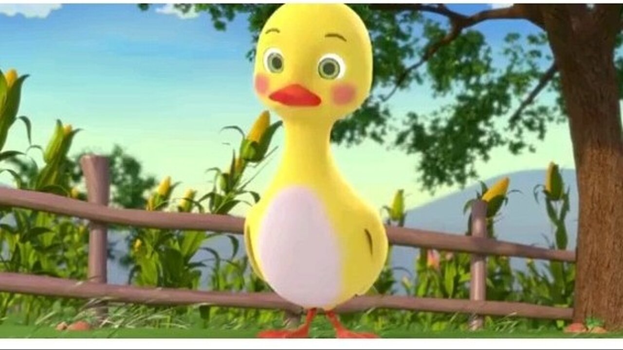 funny duck