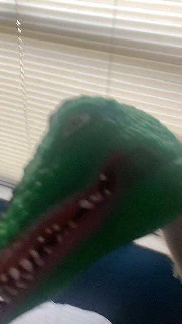 He doesn’t know how videos work