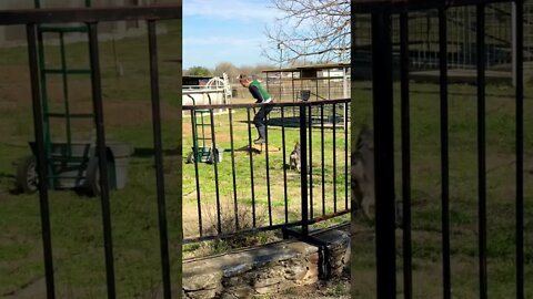 Jenny Getting Some Trenching Done! 😂 #shorts #viral #tiktok