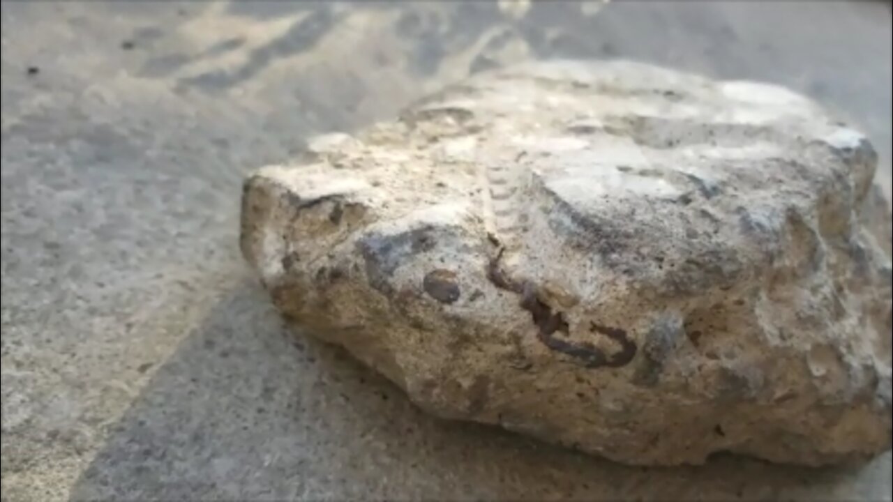 Kicking A Chunk Of Rock