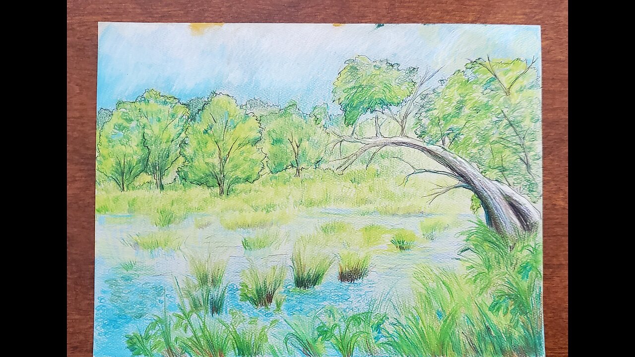 Drawing a landscape- Lillypad Pond.