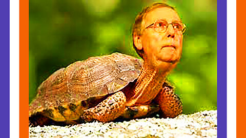 Trump Trashes Turtle McConnell