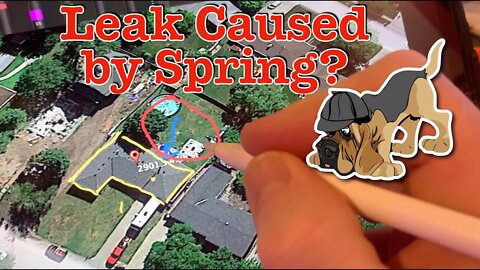 Is your Leak caused By a Spring