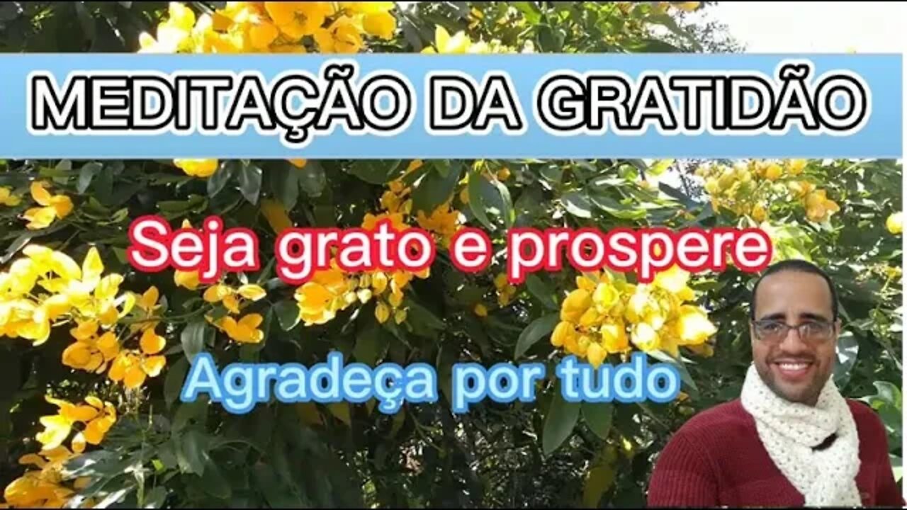 MEDITAÇÃO DA GRATIDÃO - Seja Grato e Prospere - AGRADEÇA POR TUDO