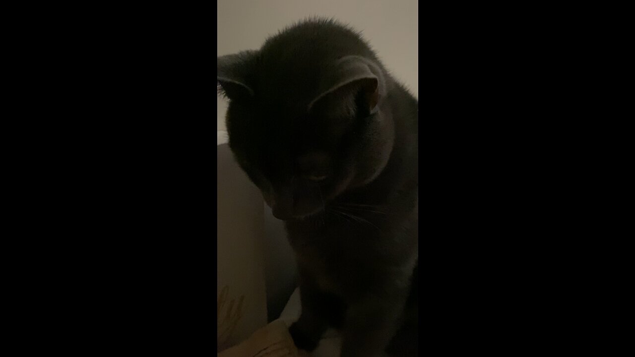 Loving Life Again ❤️